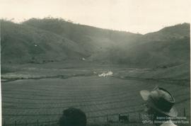 Campo de experimentação 22