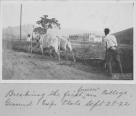 Abertura do primeiro sulco