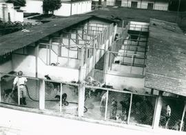Canil experimental do DVT