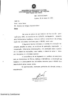 Ausência de Regimento e Monitores - 1981
