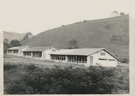 Aviário da Zootecnia