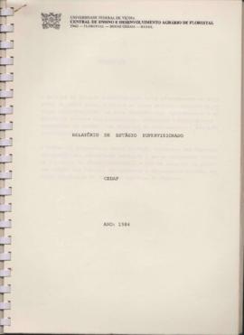 Relatório - Estágio supervisionado