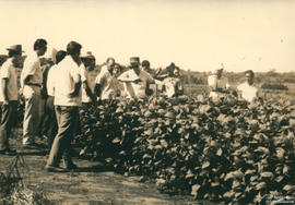 Atividade de extensão fora da sede