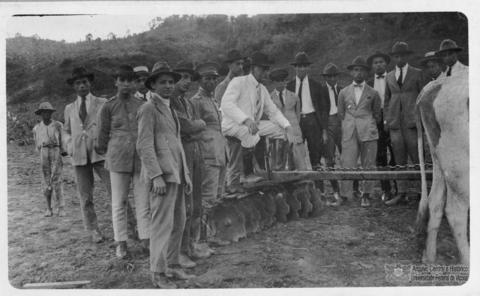 Open original Objeto digital