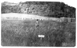 Plantação Experimental