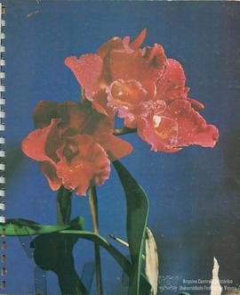 Ozanam Coelho (capa)