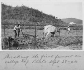 Primeiro arado no Campo Experimental