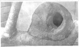 Ninho de João de Barro