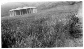 Abrigo da Engenharia Rural