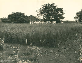 Atividade de extensão fora da sede