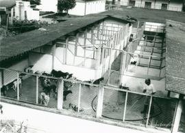 Canil experimental do DVT