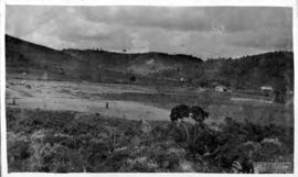 Área central dos terrenos para futura instalação da ESAV