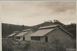 Aviário 04