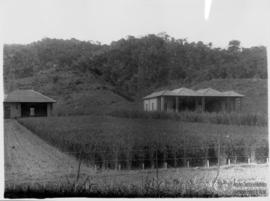 Campos de experiencia e instalações