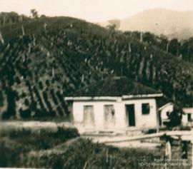 Campo de experimentação 20