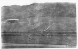 Vista parcial do campus do Campus da ESAV