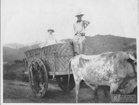 Open original Objeto digital