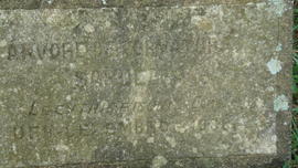 Árvore de 1988/II (01)