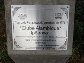 Árvore de 1974/II (03)