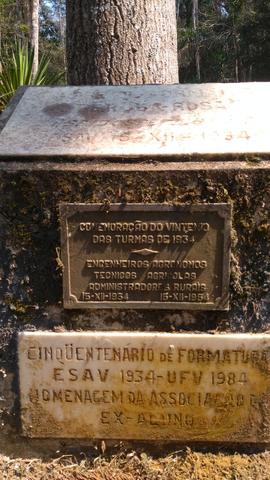 Árvore de 1934/II (01)